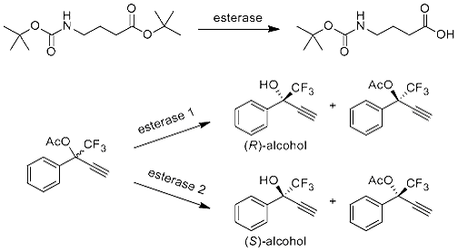 Carboxylesterases