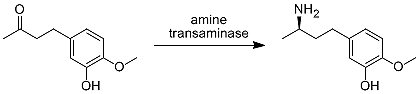 Amine transaminases