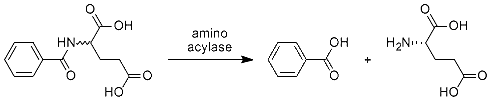 Aminoaacylases