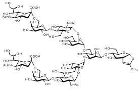 171810  SG-Oxazoline