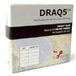 生物狀態(tài) DRAQ5