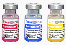 Fluorescent Control Liposomes