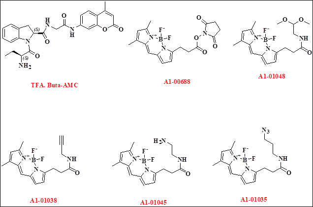 A1Bio_catalog_1