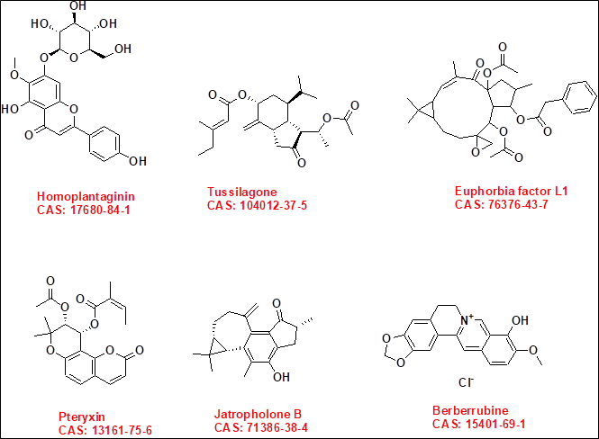 A1Bio_catalog_5