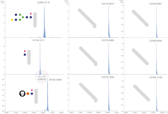 FabRICATOR_ADC_Characterization_MS_genovis