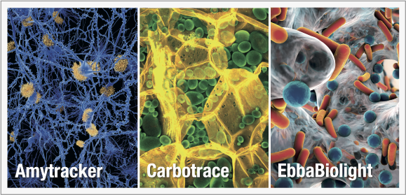 Ebba-Biotech