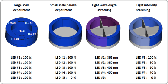 light-configuration-options_3