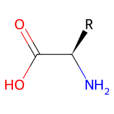 AccelaChem_aminoAcids_structure
